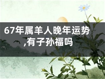 67年属羊人晚年运势,有子孙福吗