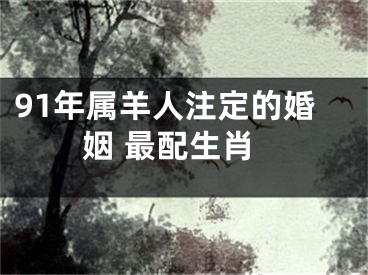 91年属羊人注定的婚姻 最配生肖