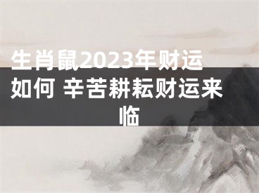 生肖鼠2023年财运如何 辛苦耕耘财运来临