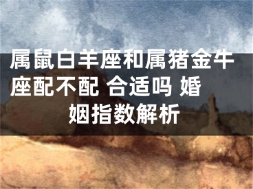 属鼠白羊座和属猪金牛座配不配 合适吗 婚姻指数解析