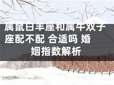属鼠白羊座和属牛双子座配不配 合适吗 婚姻指数解析