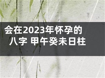 会在2023年怀孕的八字 甲午癸未日柱