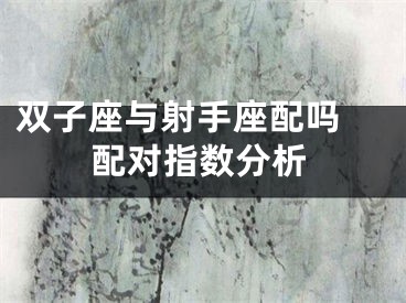 双子座与射手座配吗 配对指数分析
