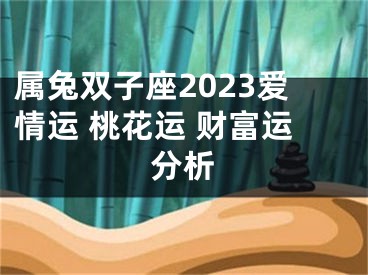 属兔双子座2023爱情运 桃花运 财富运分析