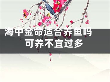 海中金命适合养鱼吗 可养不宜过多