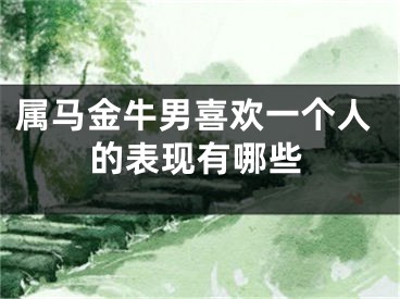 属马金牛男喜欢一个人的表现有哪些