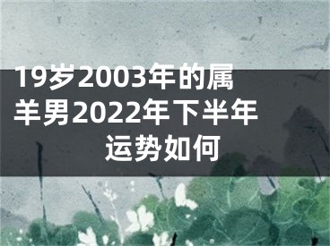 19岁2003年的属羊男2022年下半年运势如何