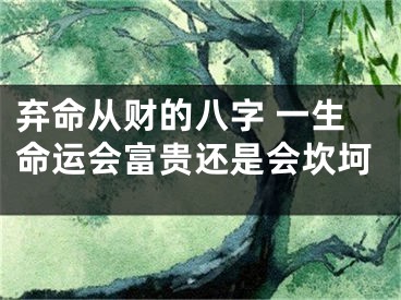 弃命从财的八字 一生命运会富贵还是会坎坷