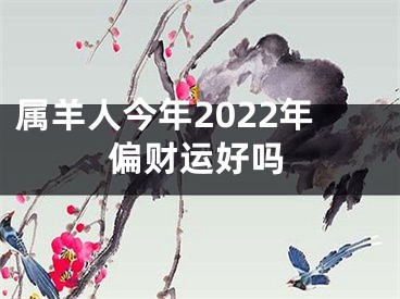 属羊人今年2022年偏财运好吗