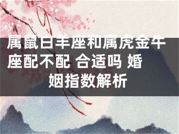 属鼠白羊座和属虎金牛座配不配 合适吗 婚姻指数解析