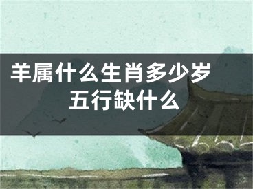 羊属什么生肖多少岁 五行缺什么