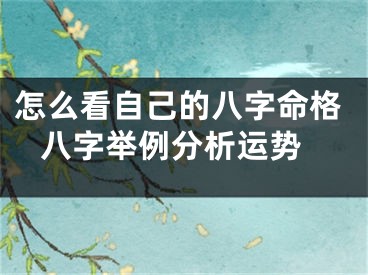 怎么看自己的八字命格 八字举例分析运势