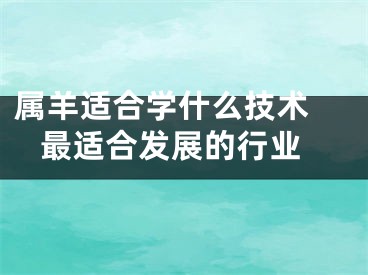 属羊适合学什么技术  最适合发展的行业