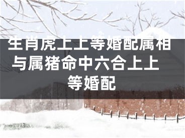 生肖虎上上等婚配属相 与属猪命中六合上上等婚配