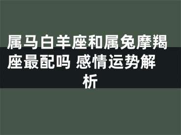 属马白羊座和属兔摩羯座最配吗 感情运势解析