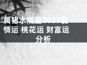 属猪水瓶座2023爱情运 桃花运 财富运分析