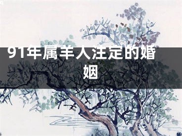91年属羊人注定的婚姻