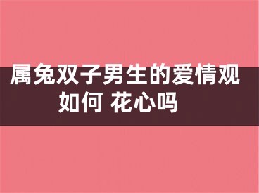属兔双子男生的爱情观如何 花心吗