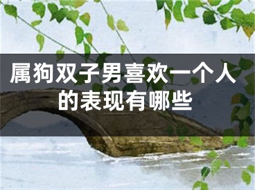 属狗双子男喜欢一个人的表现有哪些