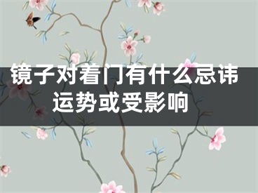 镜子对着门有什么忌讳 运势或受影响