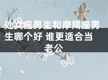 处女座男生和摩羯座男生哪个好 谁更适合当老公