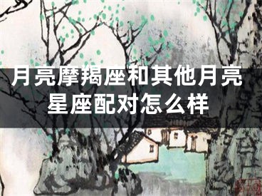 月亮摩羯座和其他月亮星座配对怎么样