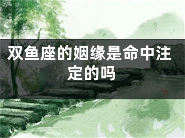 双鱼座的姻缘是命中注定的吗
