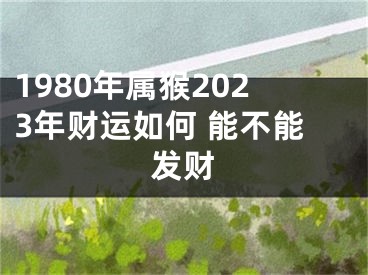 1980年属猴2023年财运如何 能不能发财