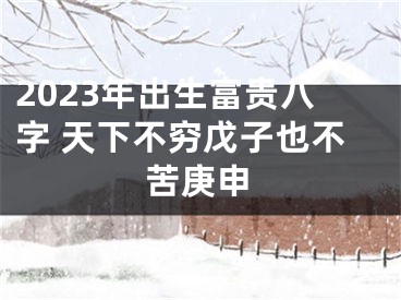 2023年出生富贵八字 天下不穷戊子也不苦庚申