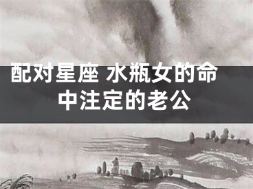 配对星座 水瓶女的命中注定的老公