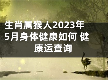生肖属猴人2023年5月身体健康如何 健康运查询