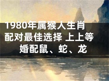 1980年属猴人生肖配对最佳选择 上上等婚配鼠、蛇、龙