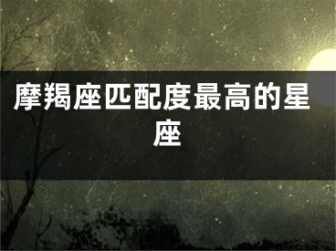 摩羯座匹配度最高的星座