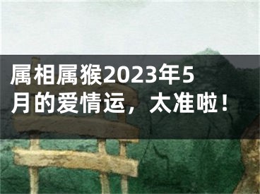 属相属猴2023年5月的爱情运，太准啦！