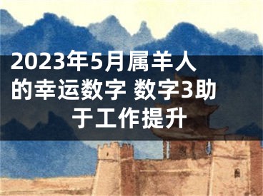 2023年5月属羊人的幸运数字 数字3助于工作提升