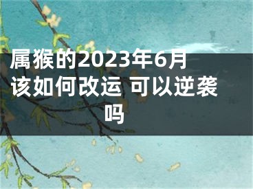 属猴的2023年6月该如何改运 可以逆袭吗 