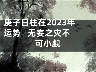 庚子日柱在2023年运势   无妄之灾不可小觑