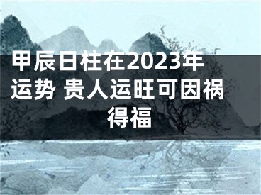 甲辰日柱在2023年运势 贵人运旺可因祸得福