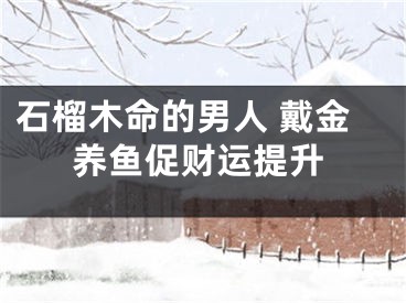 石榴木命的男人 戴金养鱼促财运提升