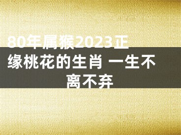 80年属猴2023正缘桃花的生肖 一生不离不弃