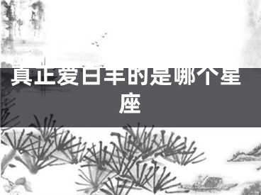 真正爱白羊的是哪个星座