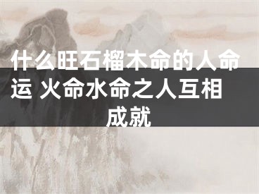 什么旺石榴木命的人命运 火命水命之人互相成就