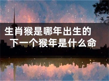 生肖猴是哪年出生的 下一个猴年是什么命