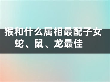 猴和什么属相最配子女  蛇、鼠、龙最佳
