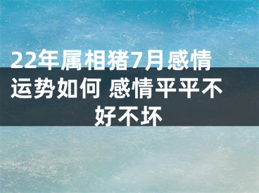 22年属相猪7月感情运势如何 感情平平不好不坏