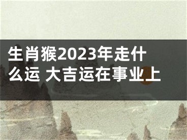 生肖猴2023年走什么运 大吉运在事业上