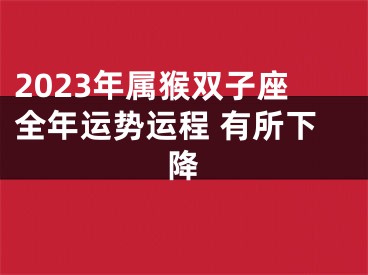 2023年属猴双子座全年运势运程 有所下降