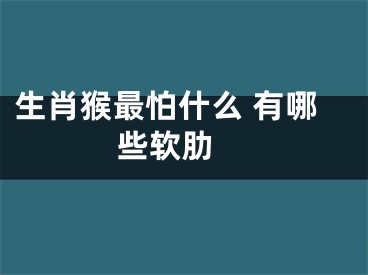 生肖猴最怕什么 有哪些软肋 