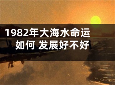 1982年大海水命运如何 发展好不好
