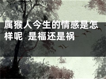 属猴人今生的情感是怎样呢  是福还是祸  